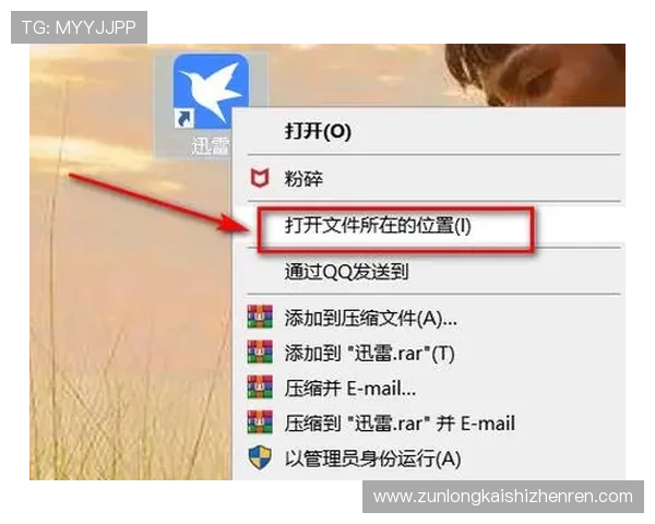 尊龙集团登录入口网址最新更新信息及查询方法详解